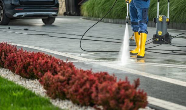 Best Animal Enclosure Cleaning  in Saddle River, NJ